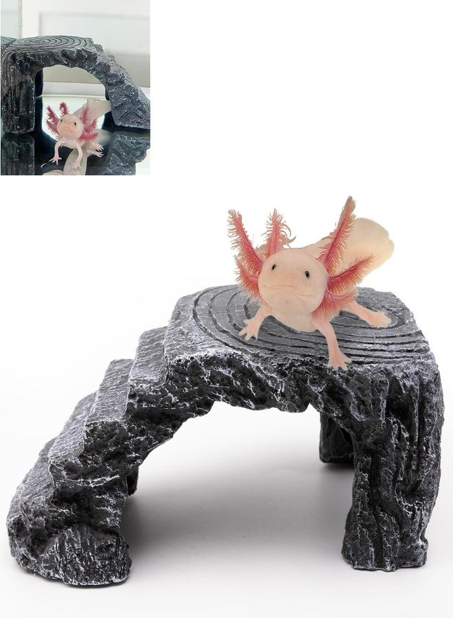 Niuohoy Axolotl Cave Axolotl Hides for Aquarium & Terrarium, Shelter for Pleco, Crabs, Fish, Turtles, Betta, Geckos, Frog, Resin Tank Decor - Image 1